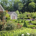 Late Spring Foraging Walk