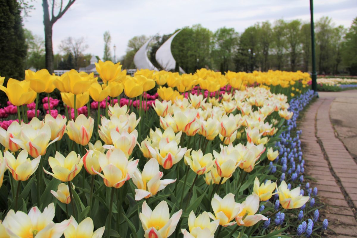 Columbus Blooms Franklin Park Conservatory and Botanical