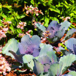 Spring Into Gardening: Spring Checklist