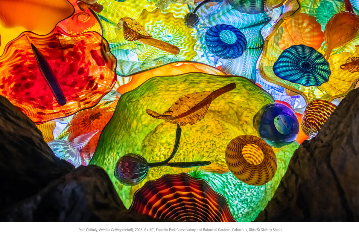Chihuly Celebrating Nature And Chihuly Nights Franklin Park