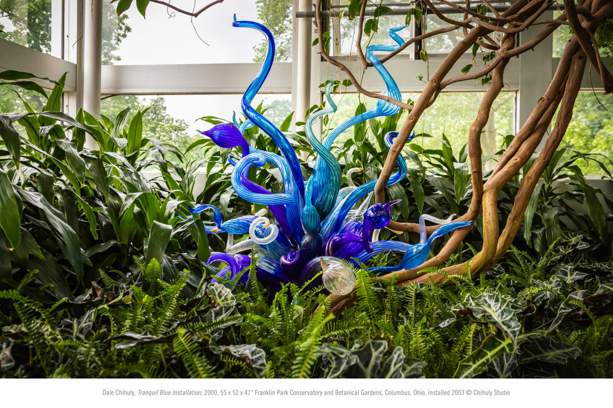 Chihuly: Celebrating Nature & Chihuly Nights | Franklin Park ...