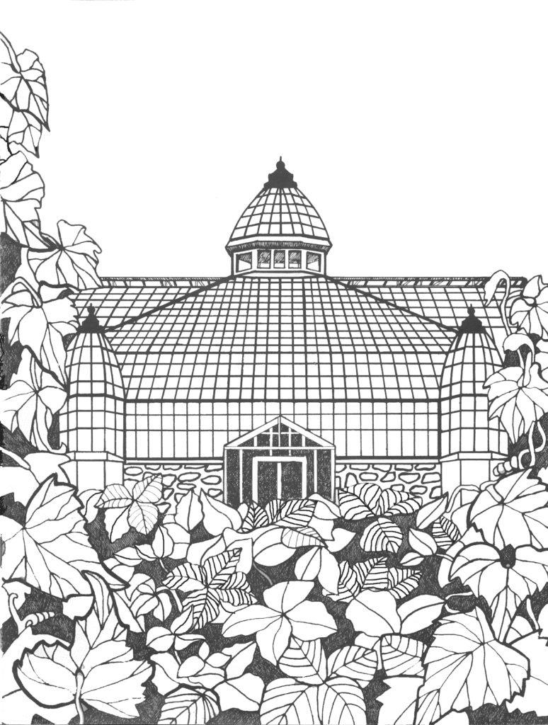 palm-house-coloring-page
