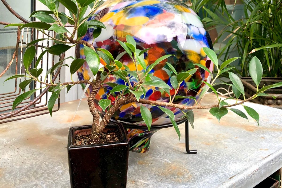 Botanica Gift Shop & Greenhouse Franklin Park Conservatory and