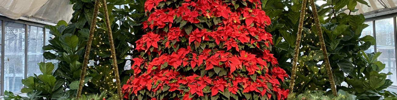 ANTIGONA リーフ　ツリー　ブローチ We've Decked The Conservatory's Halls | Franklin Park Conservatory