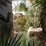 Biome Bonanza: Desert Heat & Cool Art