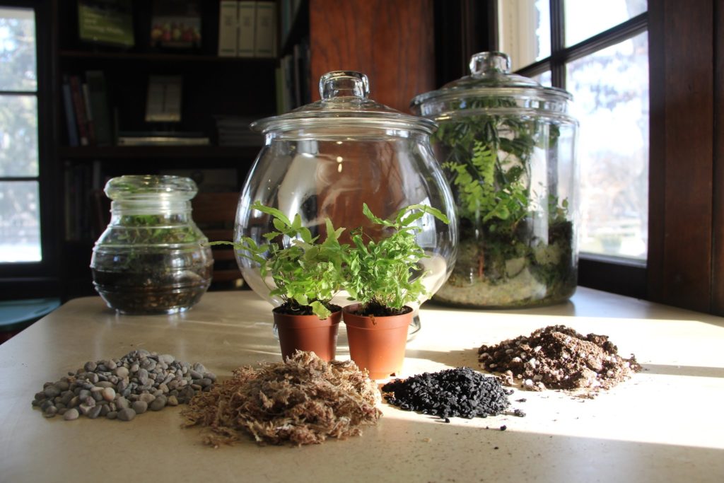 terrarium-supplies-on-table