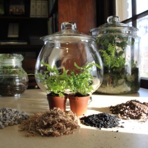 terrarium-supplies-on-table