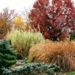 Foraging in the Fall – CANCELED