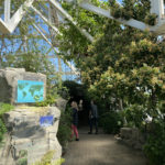 Biome Bonanza: Scents of the Himalayas