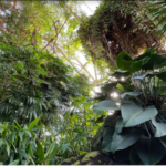 Rainforest Biome Planter