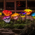 February Chihuly Night
