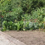 Spring Into Gardening: Designing Your Garden