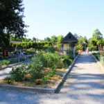 August Member Walk