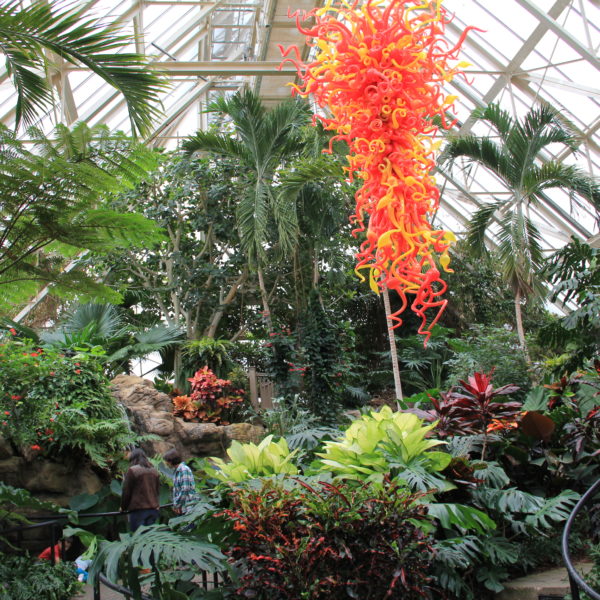 pacific island water garden biome