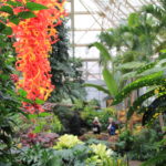 September Member Walk