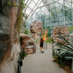 July Member Walk