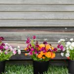 The Communal Garden: Cut Flower Gardening