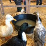 Bring The Farm To You