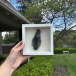 Needle Felted Insects