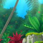 Color, Fly, Butterfly