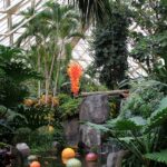 Biome Bonanza: Koibito of the Water Garden