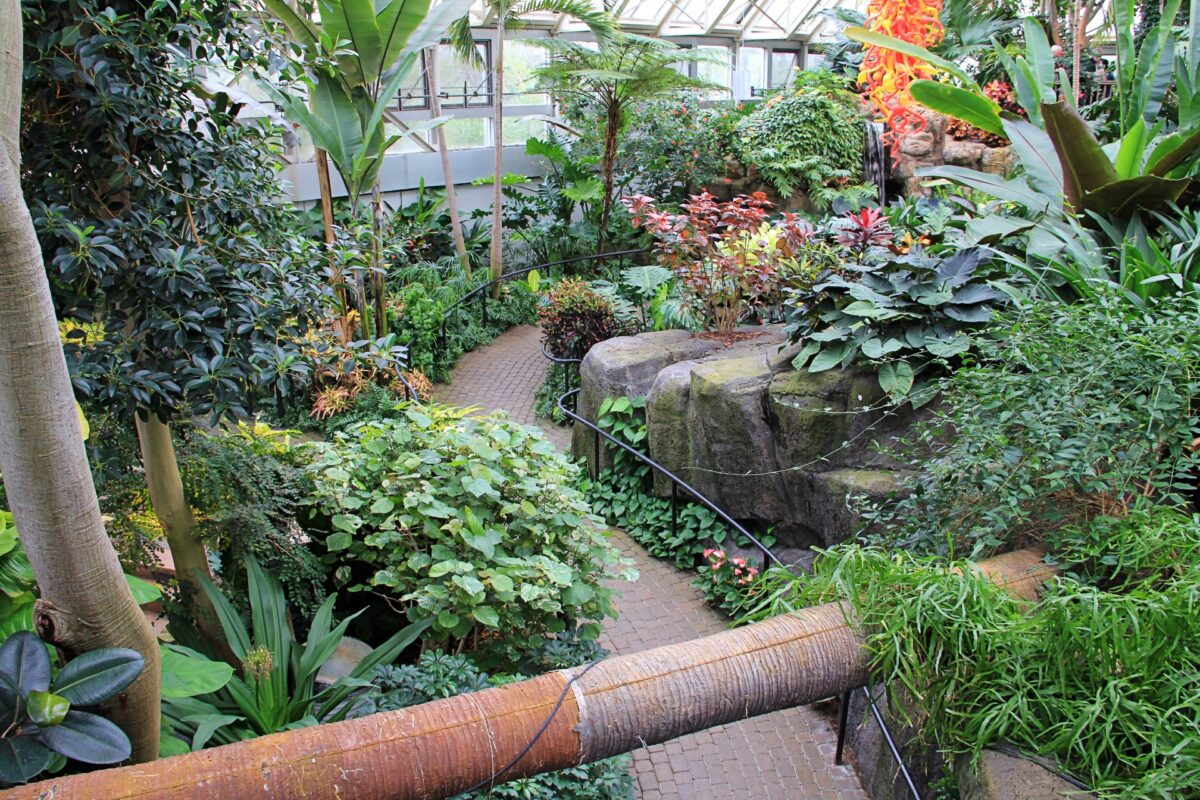 Pacific Island Water Garden