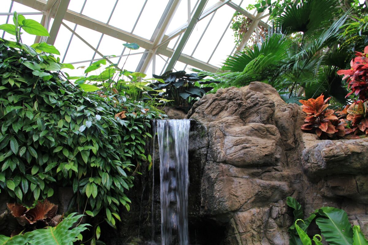 Pacific Island Water Garden