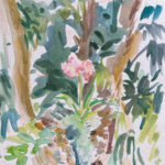 Rainforest Watercolors
