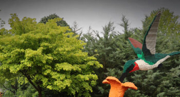 Sean Kenney's Nature Connects | Franklin Park Conservatory and