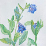 Wildflowers in Watercolor