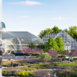 The Conservatory: From Roots to Blooms