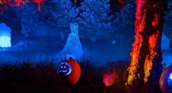 Pumpkins Aglow