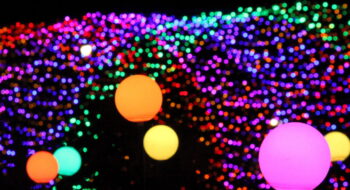 Conservatory Aglow