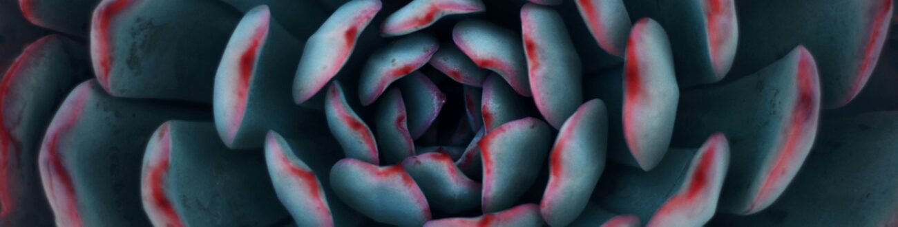 Infinite Sums: Math In Bloom | Franklin Park Conservatory and Botanical ...