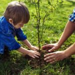 Earth Day Free Tree Giveaway