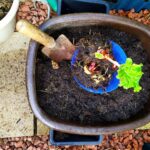 The Communal Garden: Compost