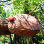 David Rogers: Big Bugs