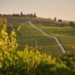 Chefs in the City: Return to Tuscany