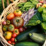 End of Summer Harvest