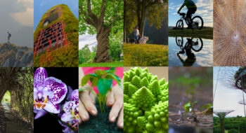 Where Wonder Grows: The Nature of Connection