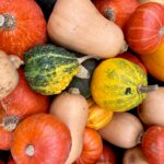 Firepit Harvest: German Tradition, Latin Flair – CANCELED